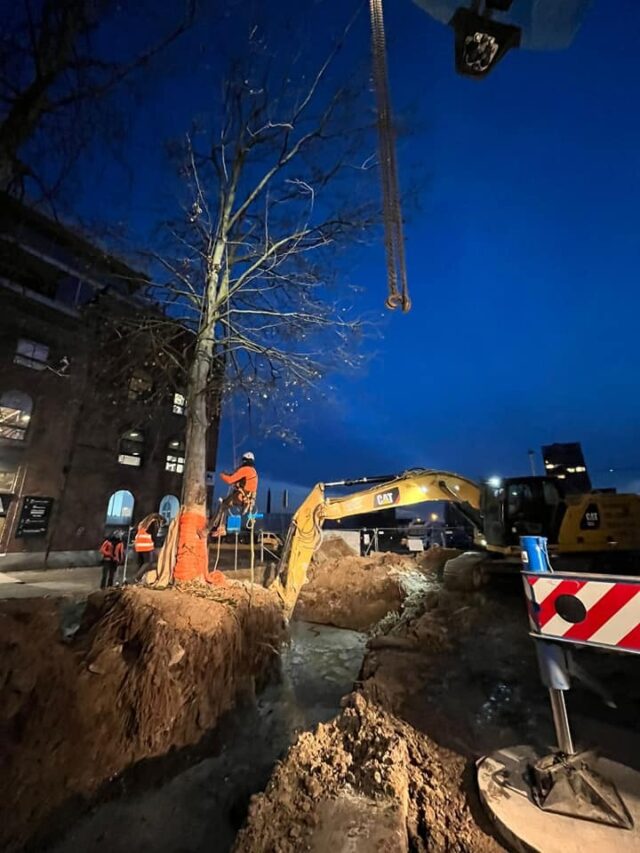 Kanjer 9